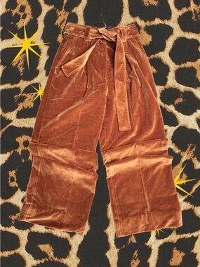 SÉZANE | Velvet Neil Wide-Leg Orange Trousers | Good Cond | Women’s Size 36